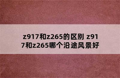 z917和z265的区别 z917和z265哪个沿途风景好